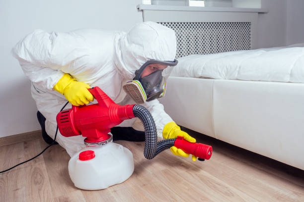 Best Wasp Removal Services  in Lewisburg, TN