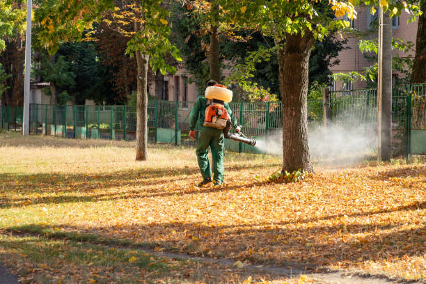 Best Affordable Pest Control Services  in Lewisburg, TN