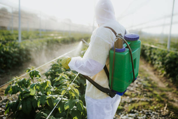 Best Ant Control Services  in Lewisburg, TN
